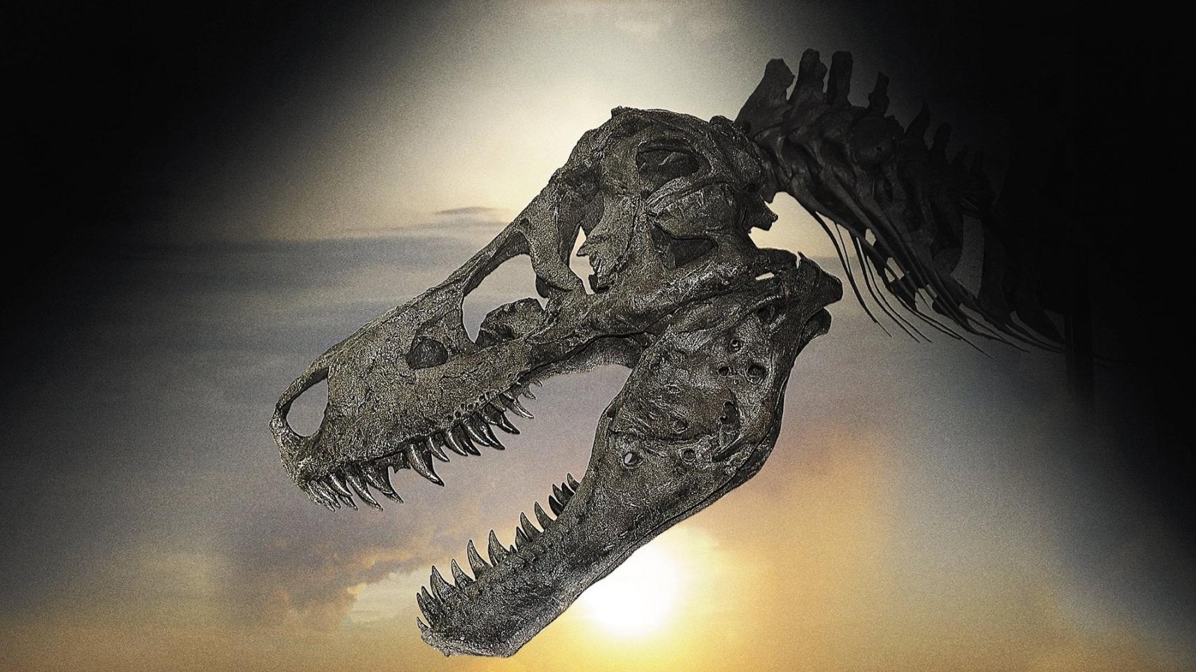 Fondo de pantalla de la película Dinosaur 13 en PeliculasYonkis gratis