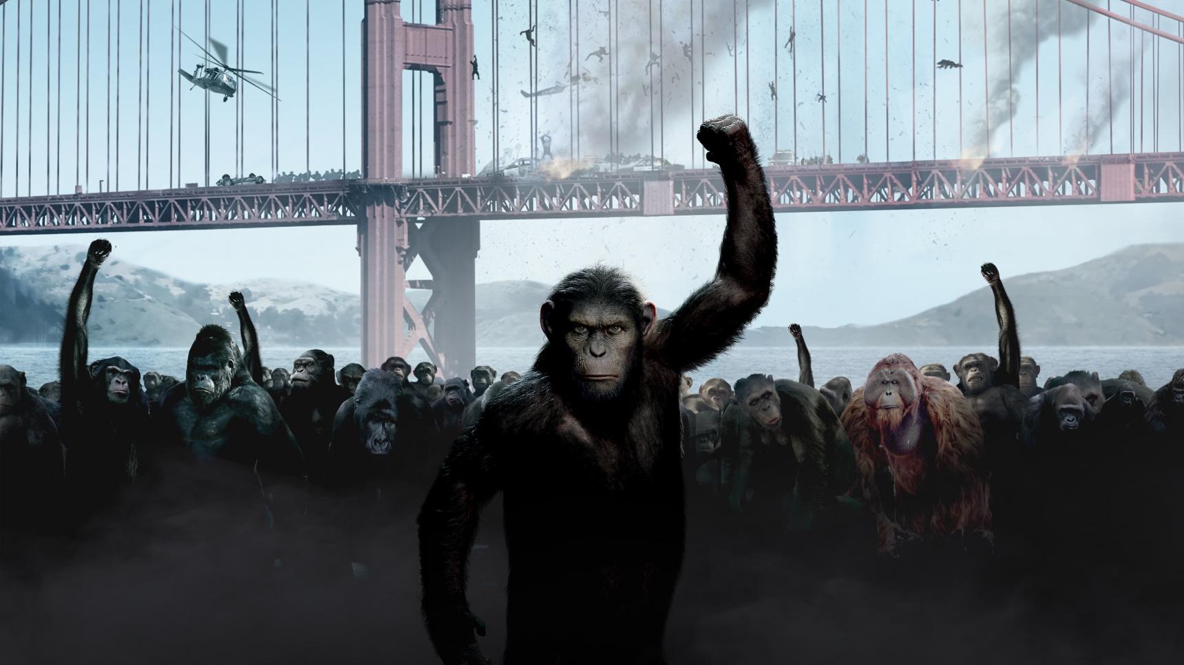 Fondo de pantalla de la película El origen del planeta de los simios en PeliculasYonkis gratis