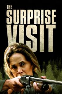 Poster The Surprise Visit